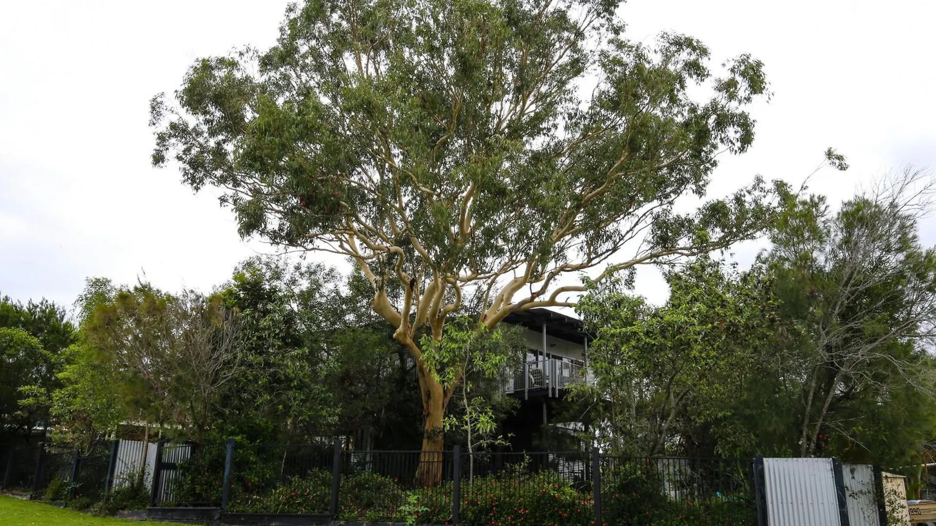 4 Coolberry Court - Rainbow Beach. Swimming Pool Australia